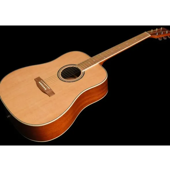Harley Benton D-120NT w/Bag