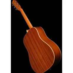 Harley Benton D-120NT w/Bag