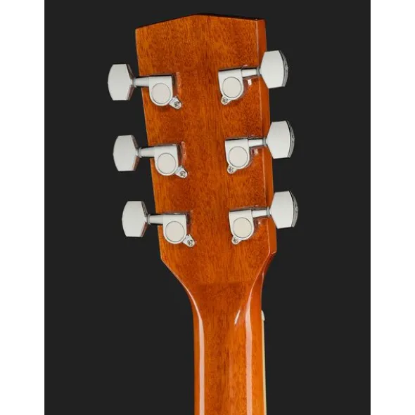 Harley Benton D-120NT w/Bag