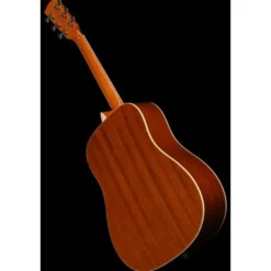 Harley Benton D-120VS
