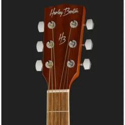 Harley Benton D-120VS