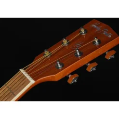 Harley Benton D-120VS