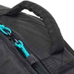Harley Benton EAX-10 Pinky w/Bag