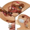 Harley Benton Electric Guitar Kit Single Cut