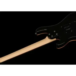 Harley Benton Fusion-III HH FR EB FBB