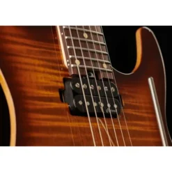 Harley Benton Fusion-III HH FR EB FBB