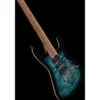 Harley Benton Fusion-III HSH Roasted FBLB