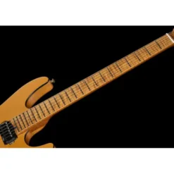Harley Benton Fusion-IV HH MN SGD