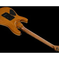 Harley Benton Fusion-IV HH RW PM