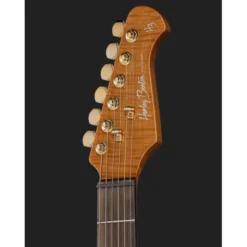 Harley Benton Fusion-IV HH RW PM