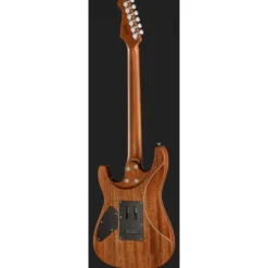 Harley Benton Fusion-IV HSS MN QBKB