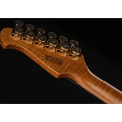 Harley Benton Fusion-IV HSS RW PM