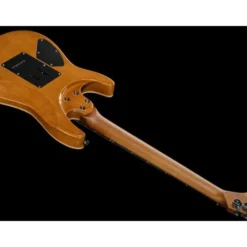 Harley Benton Fusion-IV HSS RW RM