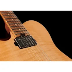 Harley Benton Fusion-T HH LH Roasted FNT