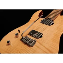 Harley Benton Fusion-T HH LH Roasted FNT