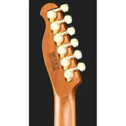 Harley Benton Fusion-T II HH RW HT PM