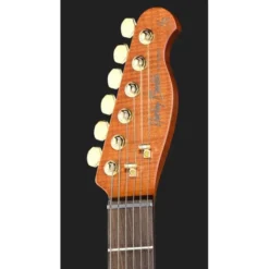 Harley Benton Fusion-T II HH RW HT PM