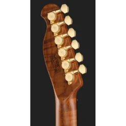 Harley Benton Fusion-T II HH RW HT FBB