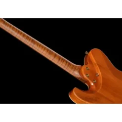 Harley Benton Fusion-T II HH RW HT FBB