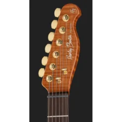 Harley Benton Fusion-T II HH RW HT FBB