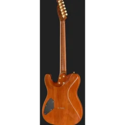 Harley Benton Fusion-T II HH RW HT FBB