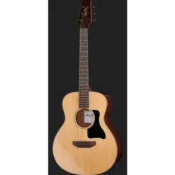 Harley Benton GS-Travel-E Spruce Bundle