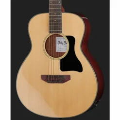 Harley Benton GS-Travel-E Spruce