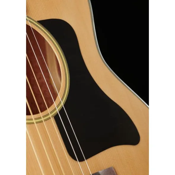 Harley Benton GS-Travel-E Spruce