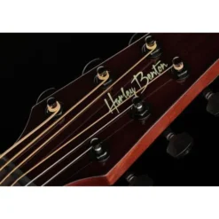 Harley Benton GS-Travel-E Spruce