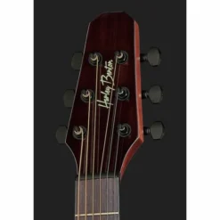 Harley Benton GS-Travel-E Spruce