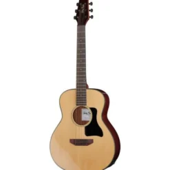 Harley Benton GS-Travel-E Spruce