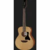 Harley Benton GS-Travel Spruce