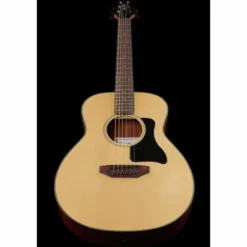 Harley Benton GS-Travel Spruce