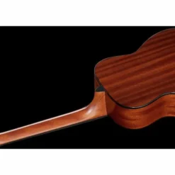 Harley Benton GS-Travel Spruce