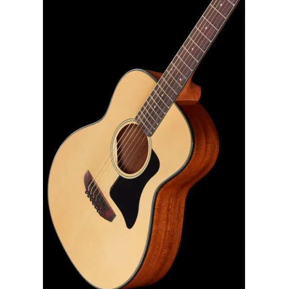 Harley Benton GS-Travel Spruce Bundle