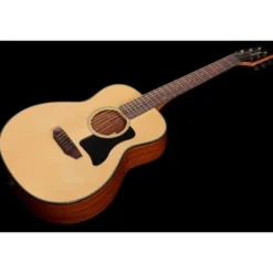 Harley Benton GS-Travel Spruce Bundle