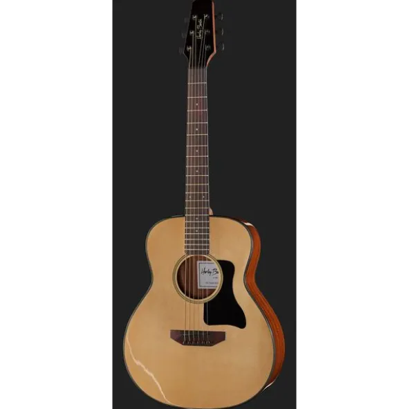 Harley Benton GS-Travel Spruce Bundle