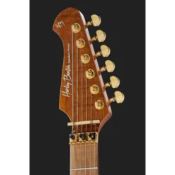 Harley Benton Guitar MAX Fusion Signature EF