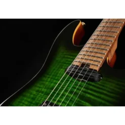 Harley Benton Guitar MAX Fusion Signature EF