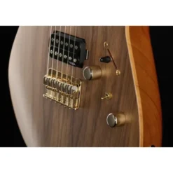 Harley Benton Guitar MAX Fusion Signa w/Case