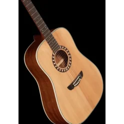 Harley Benton HB Custom Line CLD-10S w/Case