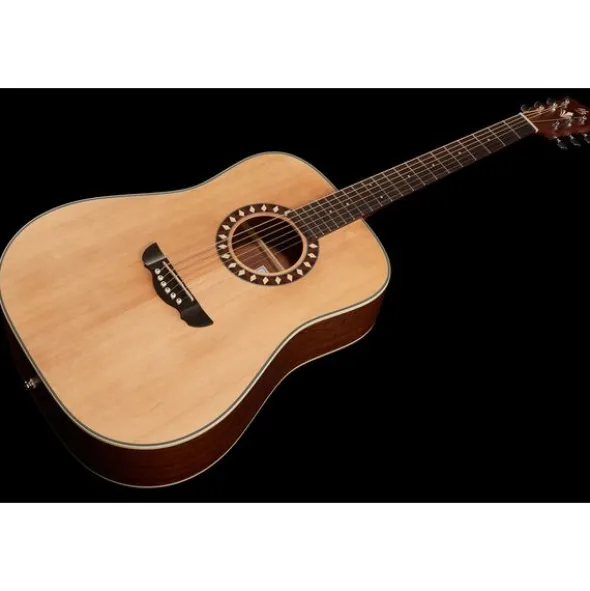 Harley Benton HB Custom Line CLD-10S Bundle