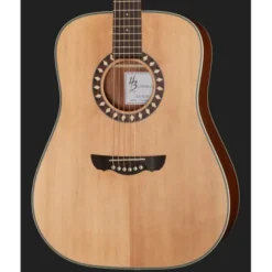 Harley Benton HB Custom Line CLD-10S Bundle