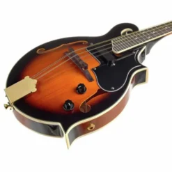 Harley Benton HBMA-100E- VS