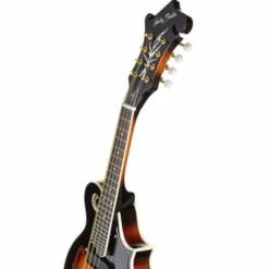 Harley Benton HBMA-100E- VS