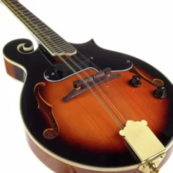 Harley Benton HBMA-100E- VS