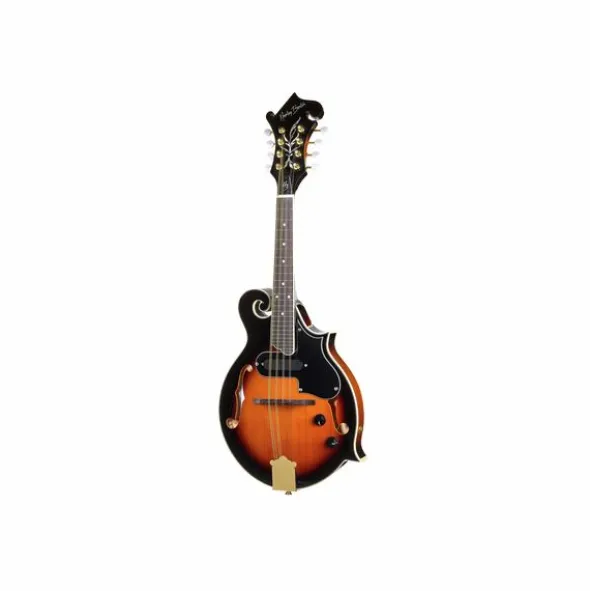 Harley Benton HBMA-100E- VS B-Stock