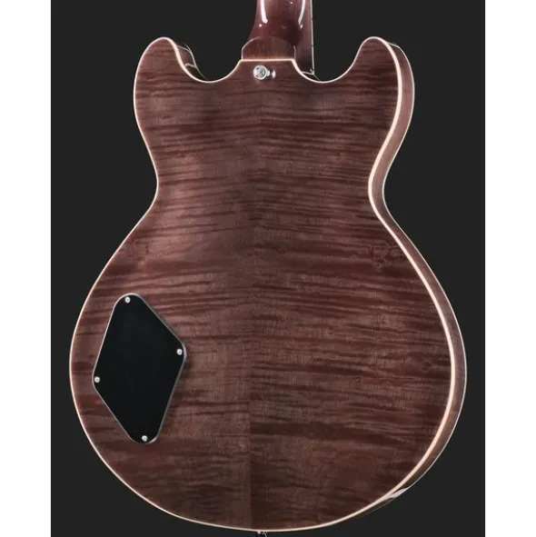 Harley Benton HB-35Plus Rotary TBK