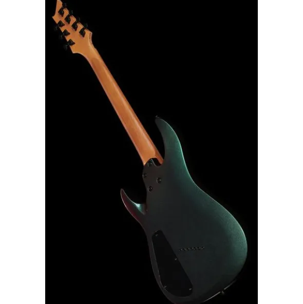 Harley Benton R-457FFB Roasted MS Bundle