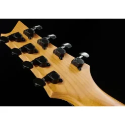 Harley Benton R-458FFB Roasted MultiScale